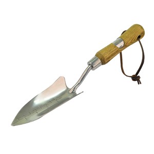 Rolson Stainless Steel Transplanter with Ash Handle